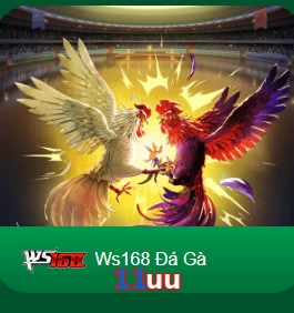 11uu